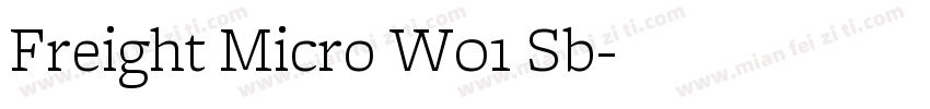 Freight Micro W01 Sb字体转换